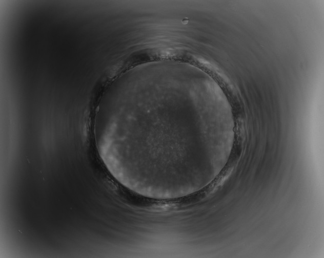 X0000087600760200705181237