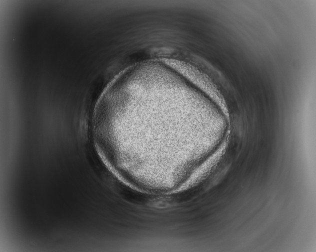 X0000087600761200705181237
