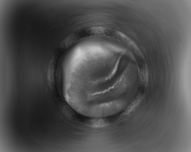 X0000087600762200705181237