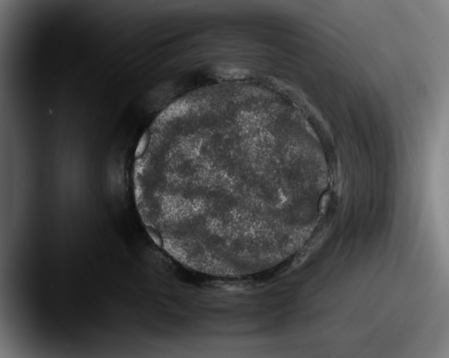 X0000087600763200705181237
