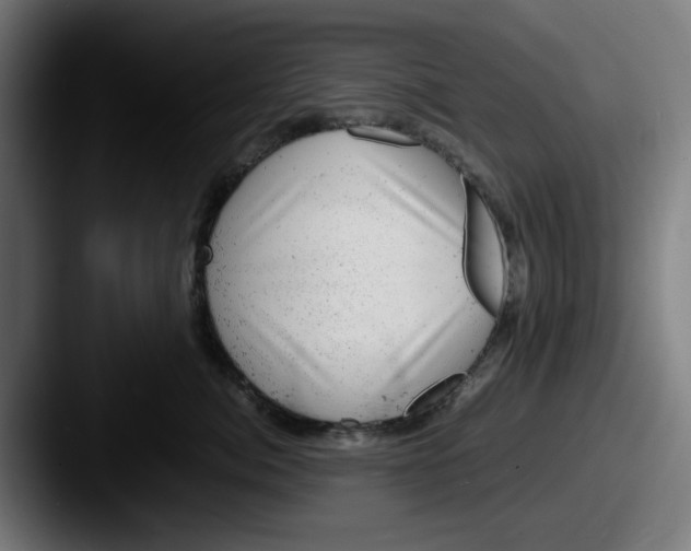 X0000087600764200705181237