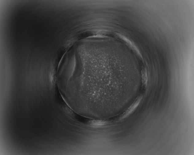 X0000087600766200705181237