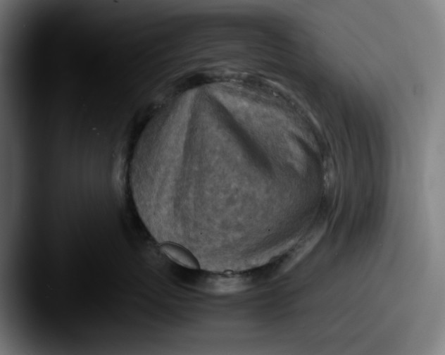 X0000087600767200705181237
