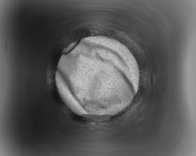 X0000087600770200705181236