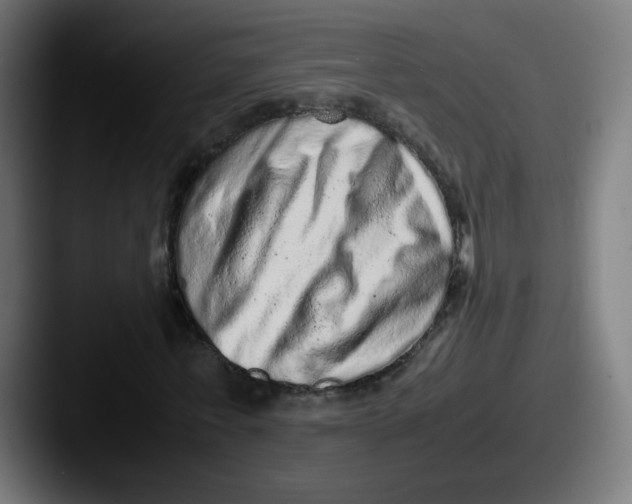 X0000087600771200705181236