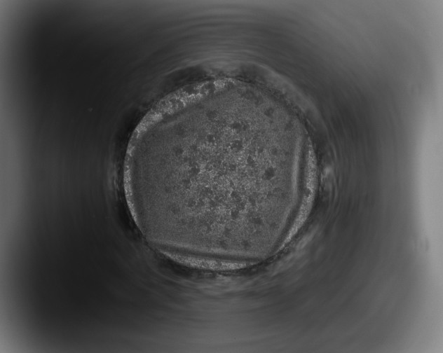 X0000087600772200705181236