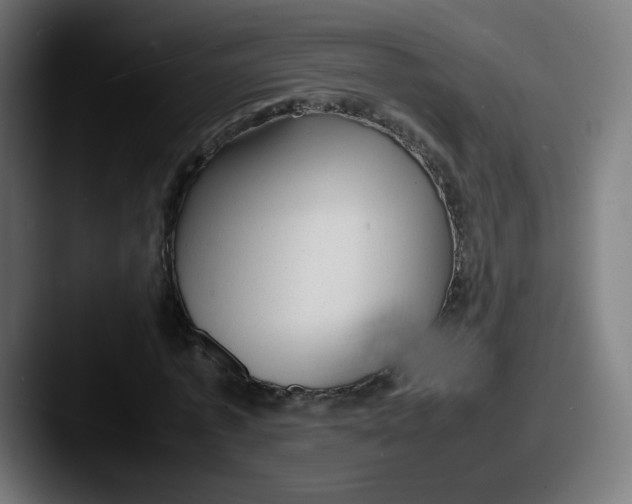 X0000087600773200705181236