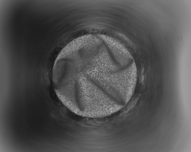 X0000087600774200705181236