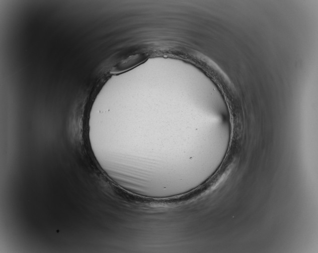 X0000087600777200705181236