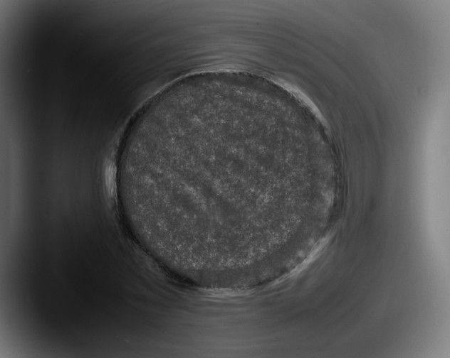 X0000087600781200705181236