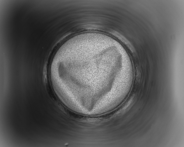 X0000087600782200705181236