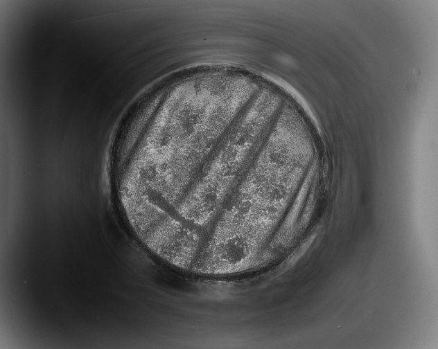 X0000087600783200705181236