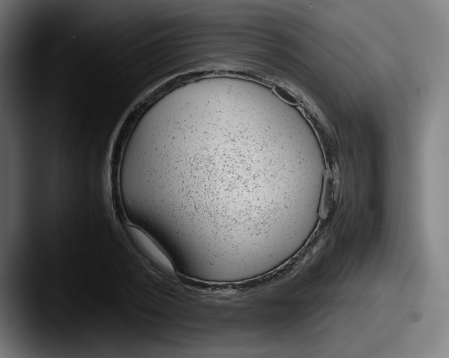 X0000087600784200705181236