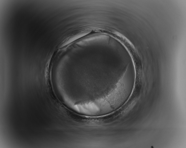 X0000087600785200705181236
