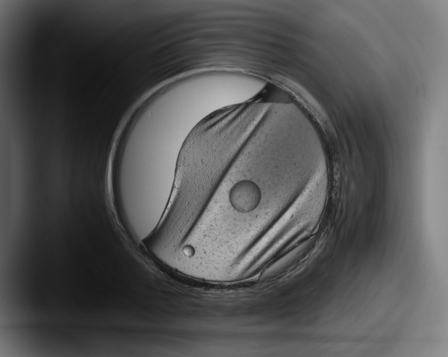 X0000087600788200705181236