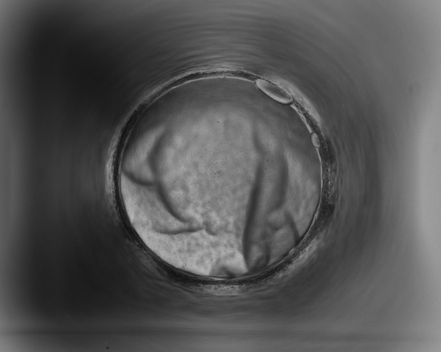 X0000087600789200705181236