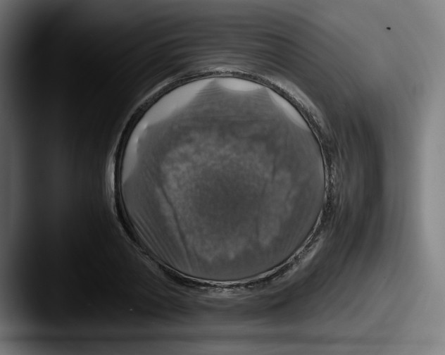 X0000087600790200705181236