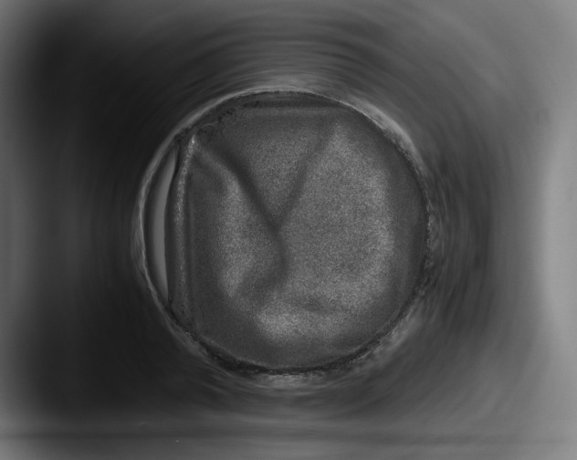 X0000087600792200705181236