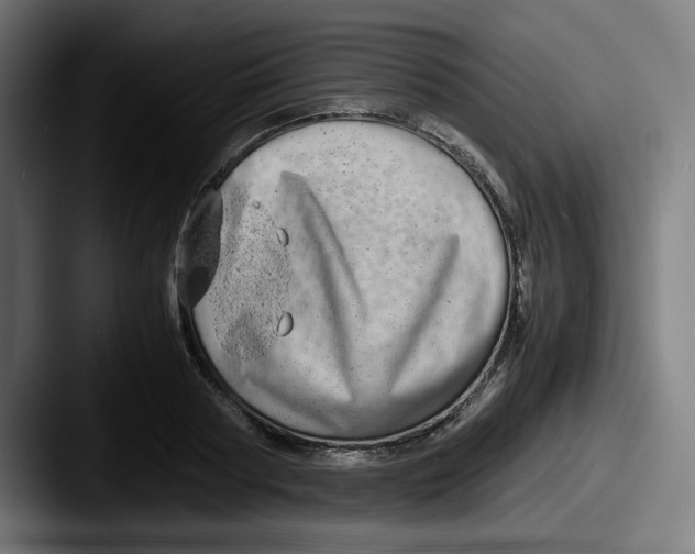X0000087600794200705181236