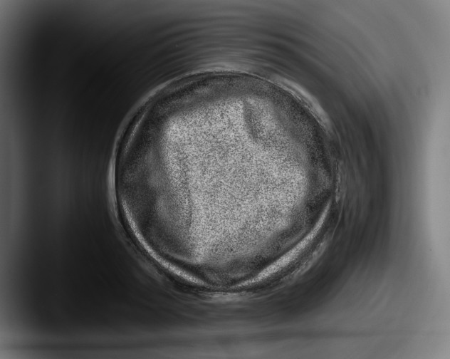 X0000087600796200705181236