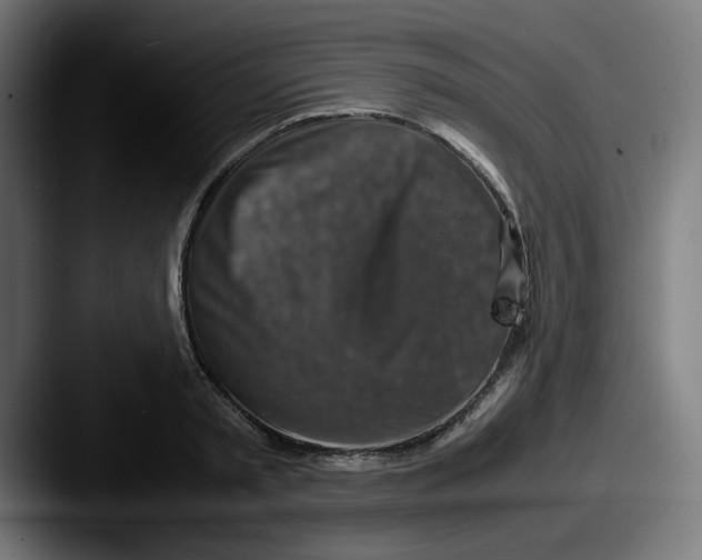 X0000087600797200705181236