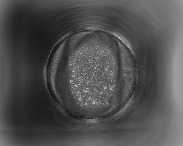 X0000087600798200705181236