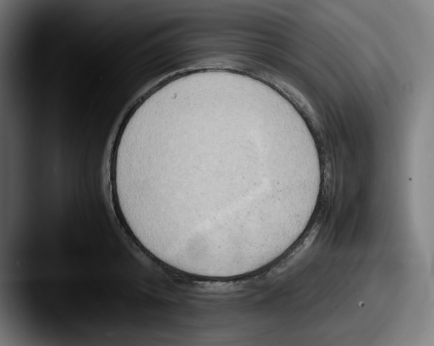 X0000087600800200705181236
