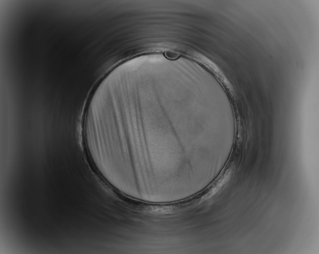 X0000087600802200705181236