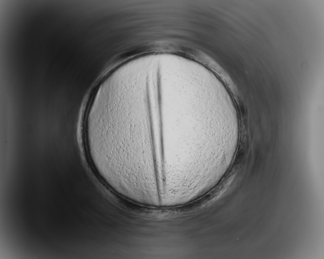 X0000087600803200705181236