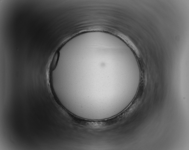 X0000087600805200705181236