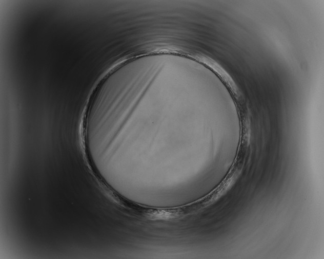 X0000087600806200705181236