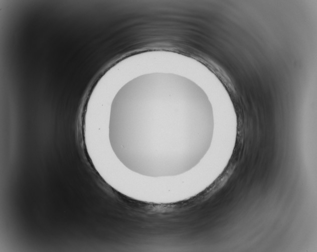X0000087600808200705181236