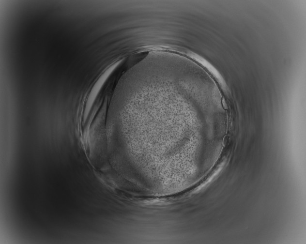 X0000087600809200705181236