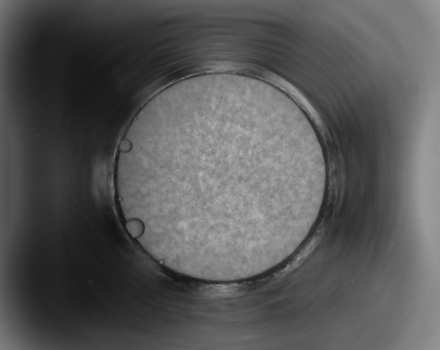 X0000087600810200705181236