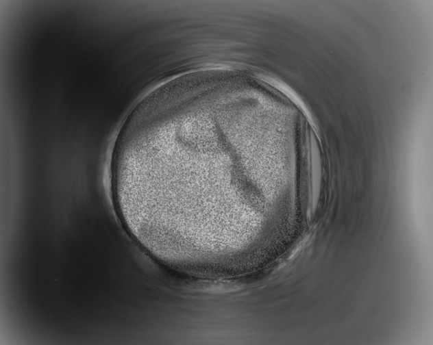 X0000087600811200705181236