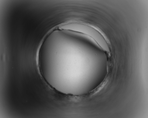 X0000087600815200705181236