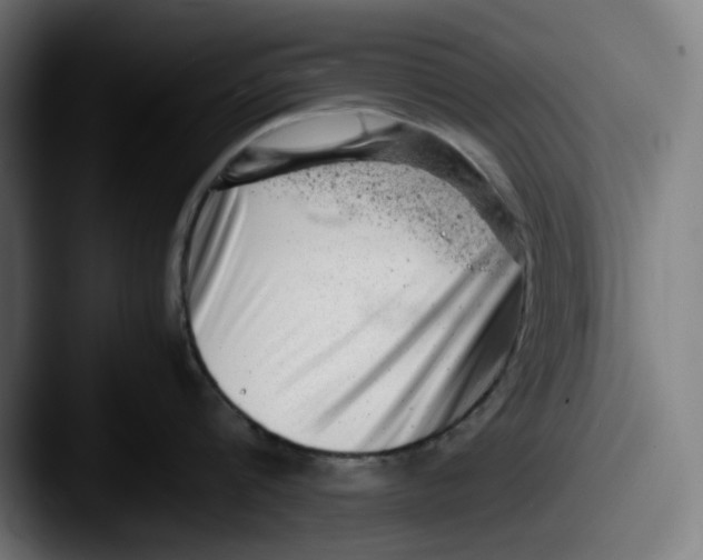 X0000087600816200705181236