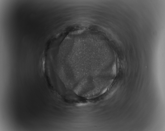 X0000087600818200705181235