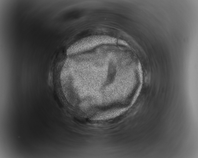 X0000087600819200705181235