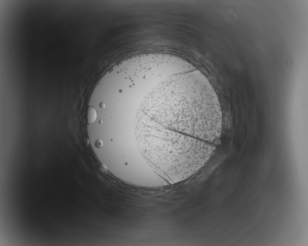 X0000087600820200705181235