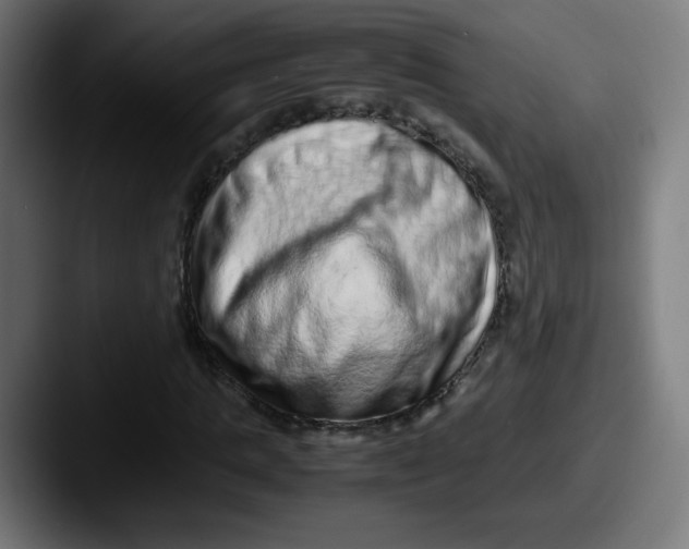 X0000087600821200705181235
