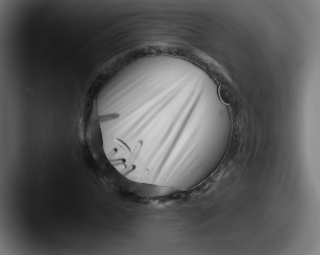 X0000087600822200705181235