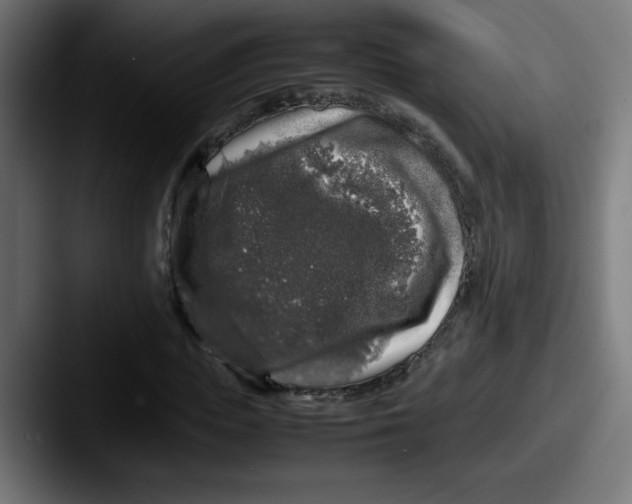 X0000087600823200705181235