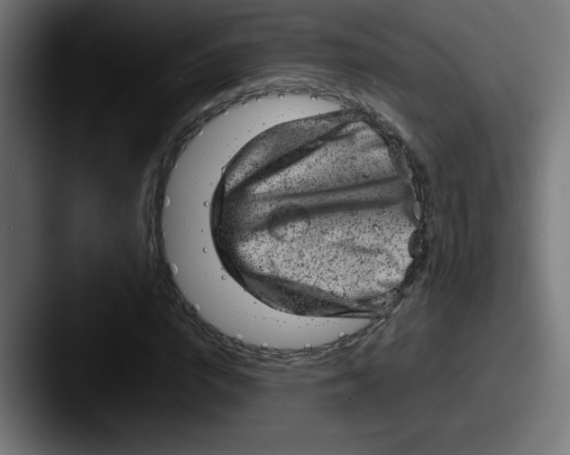 X0000087600824200705181235