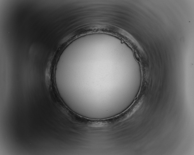 X0000087600826200705181235