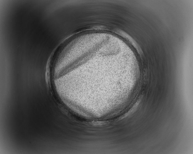 X0000087600827200705181235