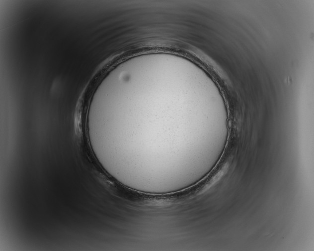 X0000087600830200705181236
