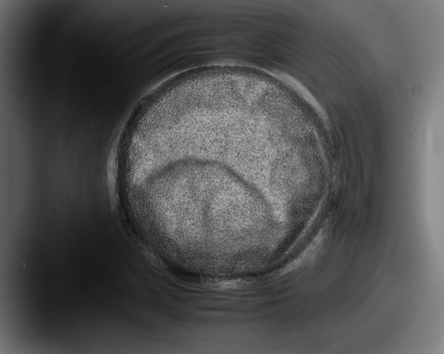 X0000087600831200705181236