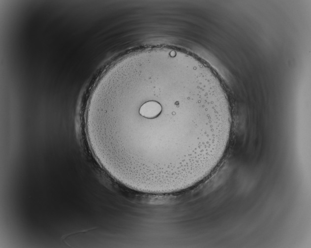 X0000087600832200705181236