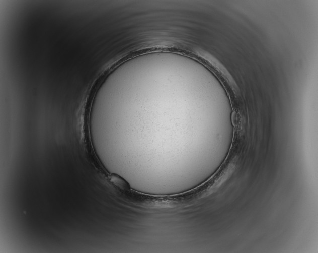 X0000087600834200705181236